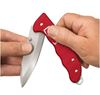 Picture of EVOKE ALOX RED